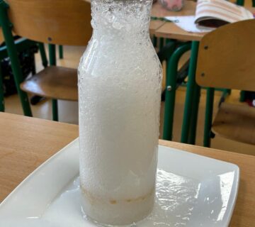 IMG-20250129-WA0066