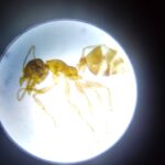 558613191_1332490128672282_6873045932437339272_n