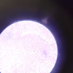 558940222_1332490265338935_205356368327461618_n